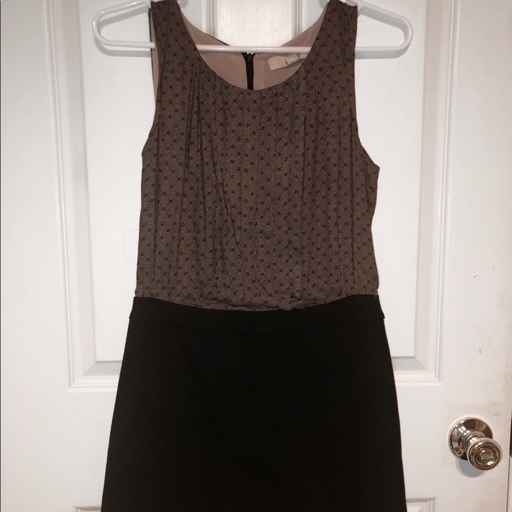 Buisness Dress
